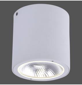 Zewnętrzna lampa natynkowa GEORG 9673-16 oprawa w kolorze białym ZUMA LINE